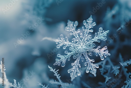 Intricate Design of a Single Snowflake Crystal in Winter's Serene Atmosphere © Bavorndej