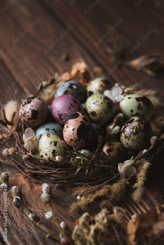Obraz premium Easter decoration. Painted quail eggs in a nest of twigs and willow
