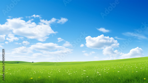Abstract sunny summer background with grass and blue sky 