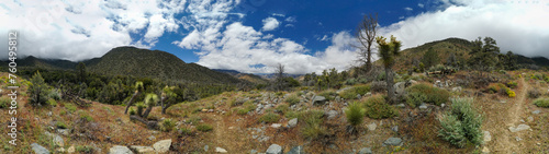 A panoramic view of a desert landscape with a few trees scattered throughout