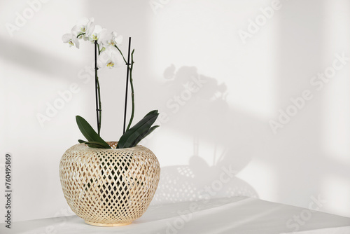 Blooming orchid flower in pot on white table near wall, space for text