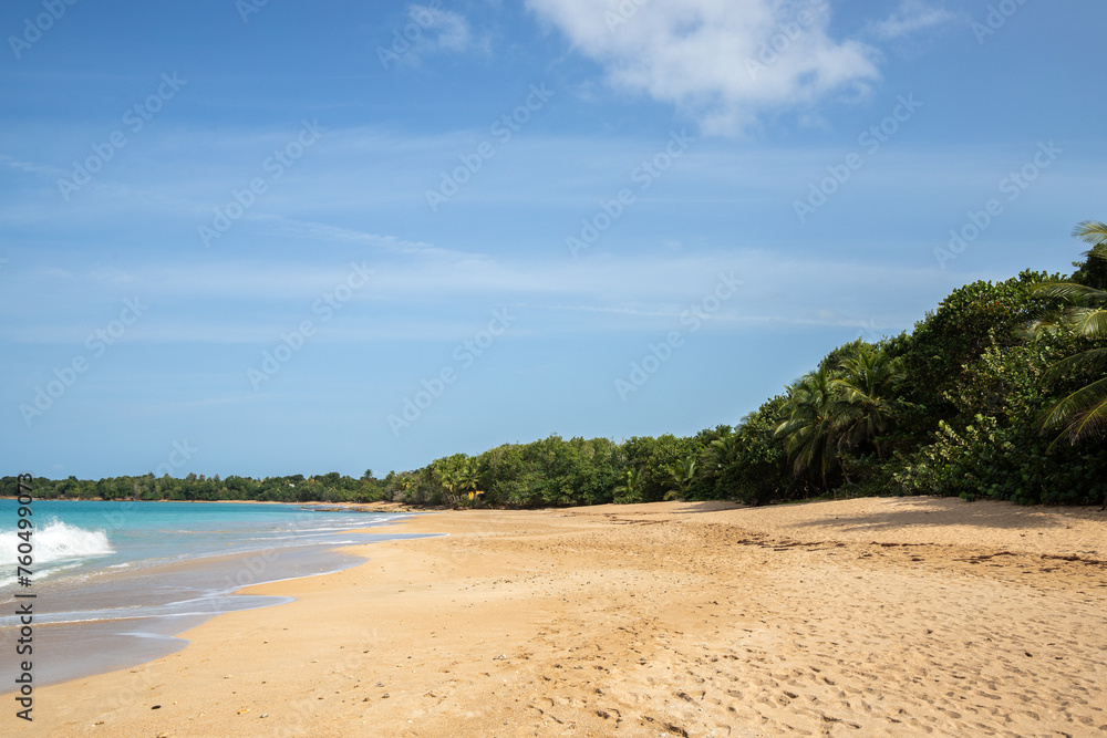 Lonely, wide sandy beach with a turquoise sea. Tropical plants of a bay in sunshine in the Caribbean. Plage de Cluny, Basse Terre, Guadeloupe, French Antilles, Lonely, wide sandy beach with a turquoise sea. Tropical plants of a bay in sunshine in the Caribbean. Plage de Cluny, Basse Terre, Guadeloupe, French Antilles,