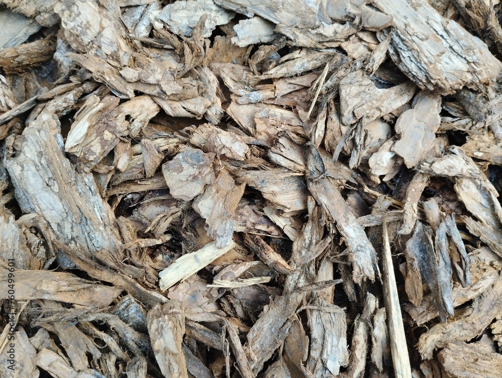 bark background bark background