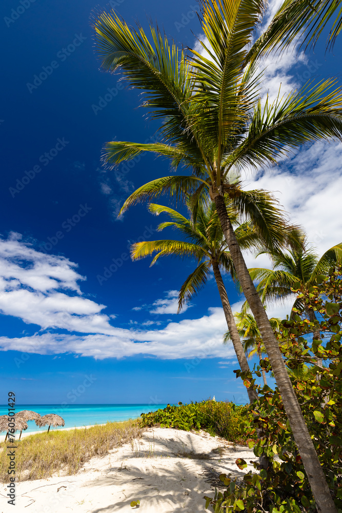 Piękna piaszczysta plaża, widok na ocean, wyspa Kuba
