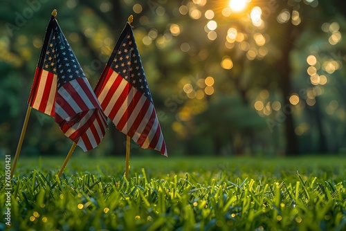 Two American Flags in the Grass With the Sun in the Background