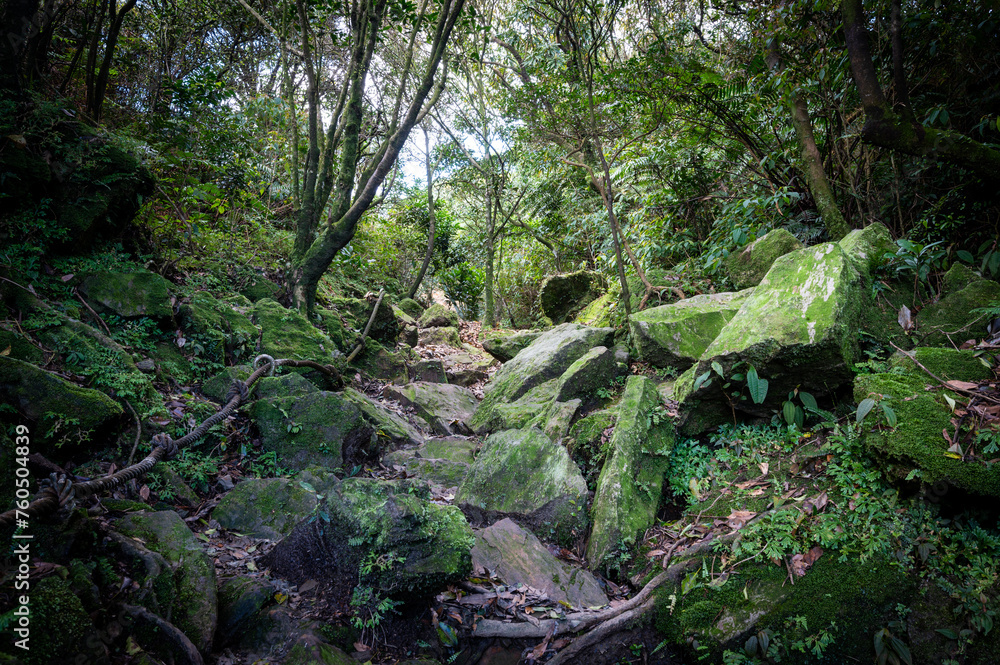 A mountain trail in the forest full of green rocks, in Jiufen, New Taipei City, Taiwan. A mountain trail in the forest full of green rocks, in Jiufen, New Taipei City, Taiwan.