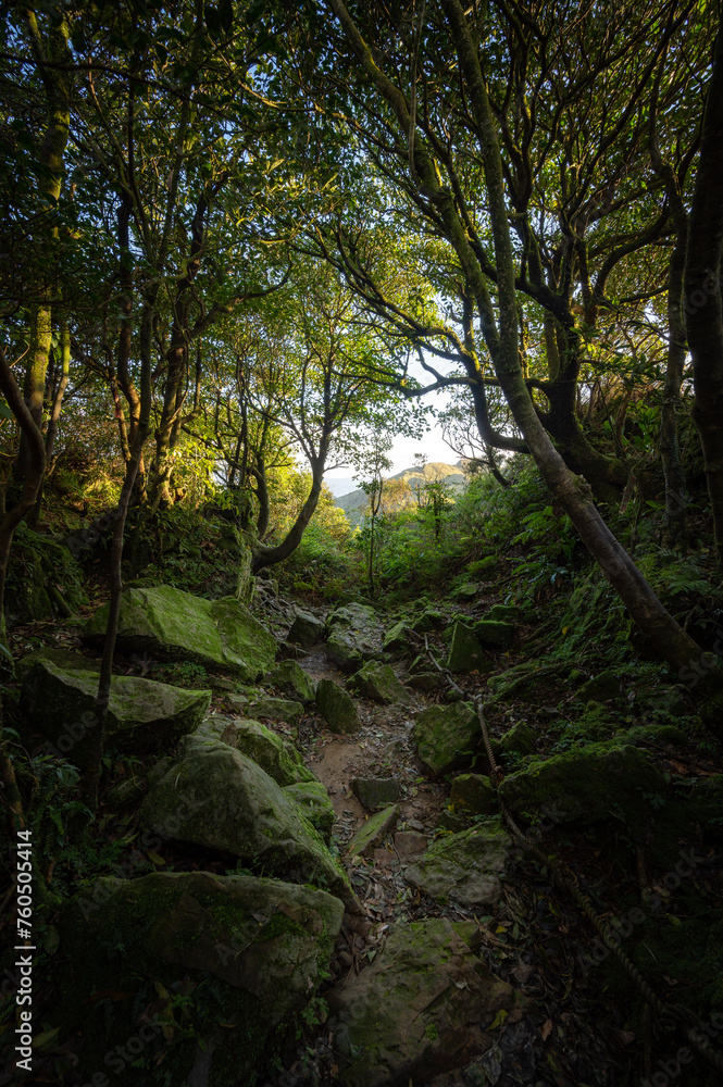 Obraz premium Mystery mountain trail among the forest full of rocks on the land, sunlight go through the woods and leafs, exit just in the front, in Jiufen, Jinguashi, New Taipei City, Taiwan.