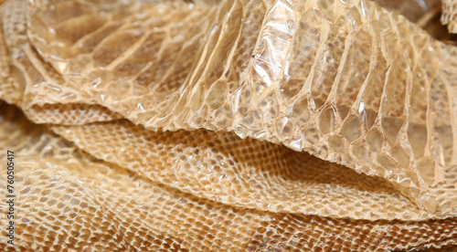 Tableau sur toile snake skin after moulting with the scales of many geometric figures