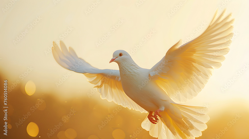 Fototapeta premium sky funeral background with white dove, copy space for text