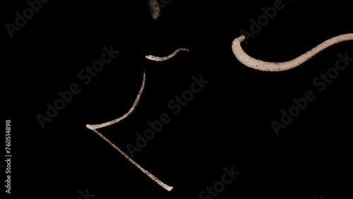 Dust and scratches old damaged surface. Grunge doodle texture. Retro vintage inverted effect on white background.