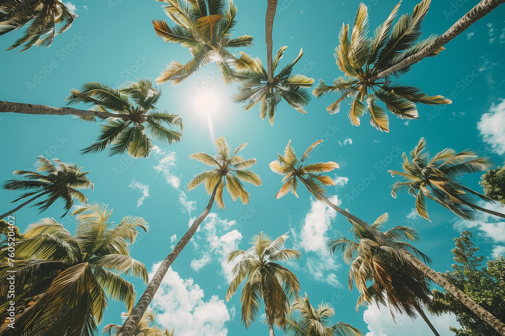 Fototapeta premium Upward view of tall palm trees against a sunny blue sky. Tropical climate and summer vacation concept. Design for travel brochure, postcard, and nature photography portfolio, Generative ai