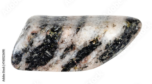 specimen of natural tumbled gneiss rock cutout