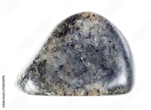 specimen of natural tumbled diorite rock cutout
