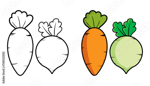 Vector Illustration of carrots and radishes with lines and colors, for children's coloring book