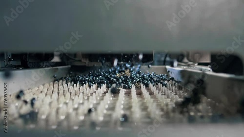 Ripe blue berries of wine grapes inside a destemmer machine at an industrial wine production plant. Slow motion photo