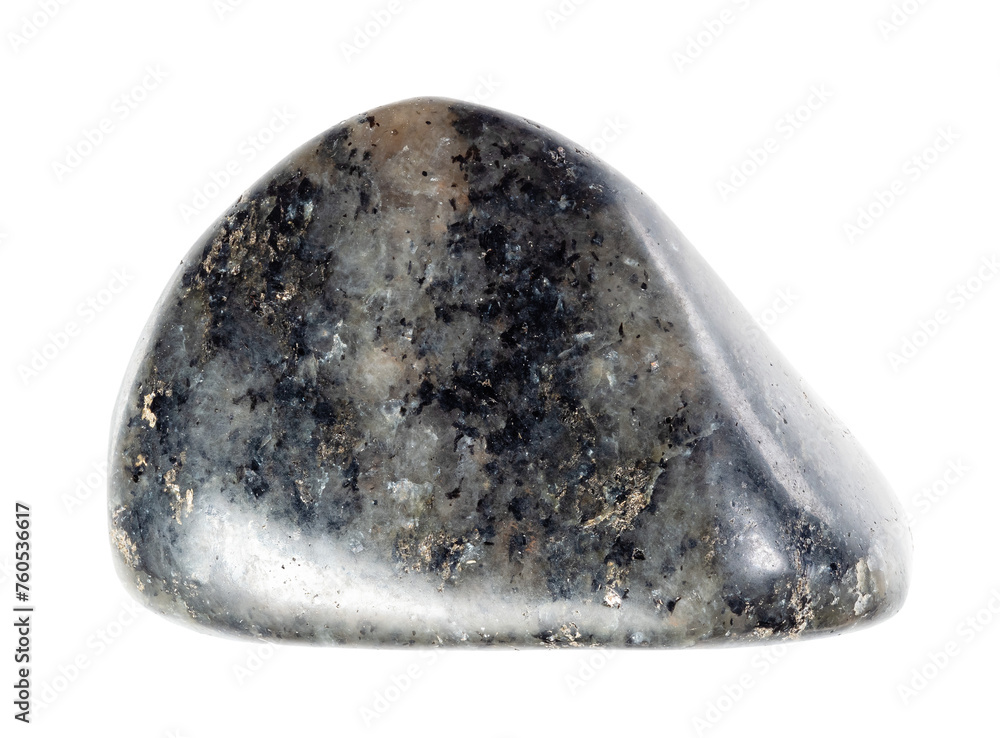 specimen of natural tumbled diorite mineral cutout specimen of natural tumbled diorite mineral cutout