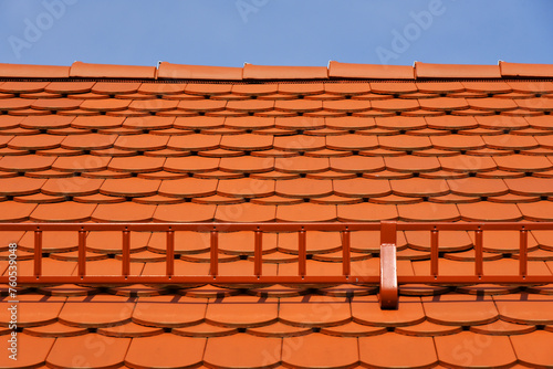 New tile roof covering of the house
