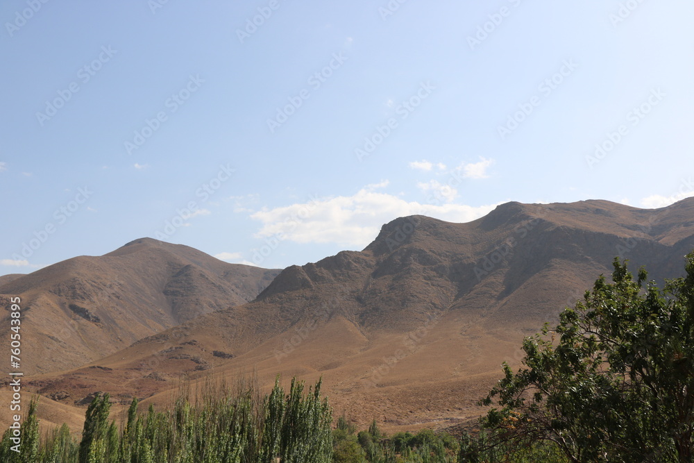 Naklejka premium Exploring the Beauty of Deserts