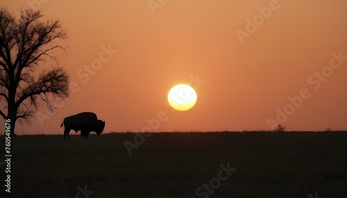 A Lone Buffalo Silhouetted Against The Setting Sun