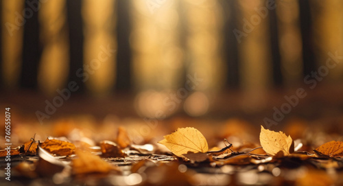 Blurred autumn nature background with golden leaves and sunlight 
