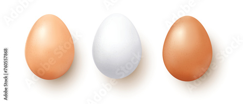 Set vector realistic of three chicken eggs