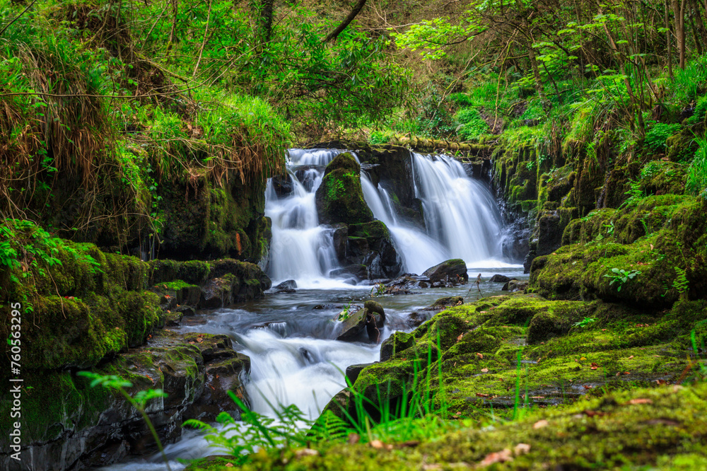 Moutain creek in Killarney National Park, Ireland