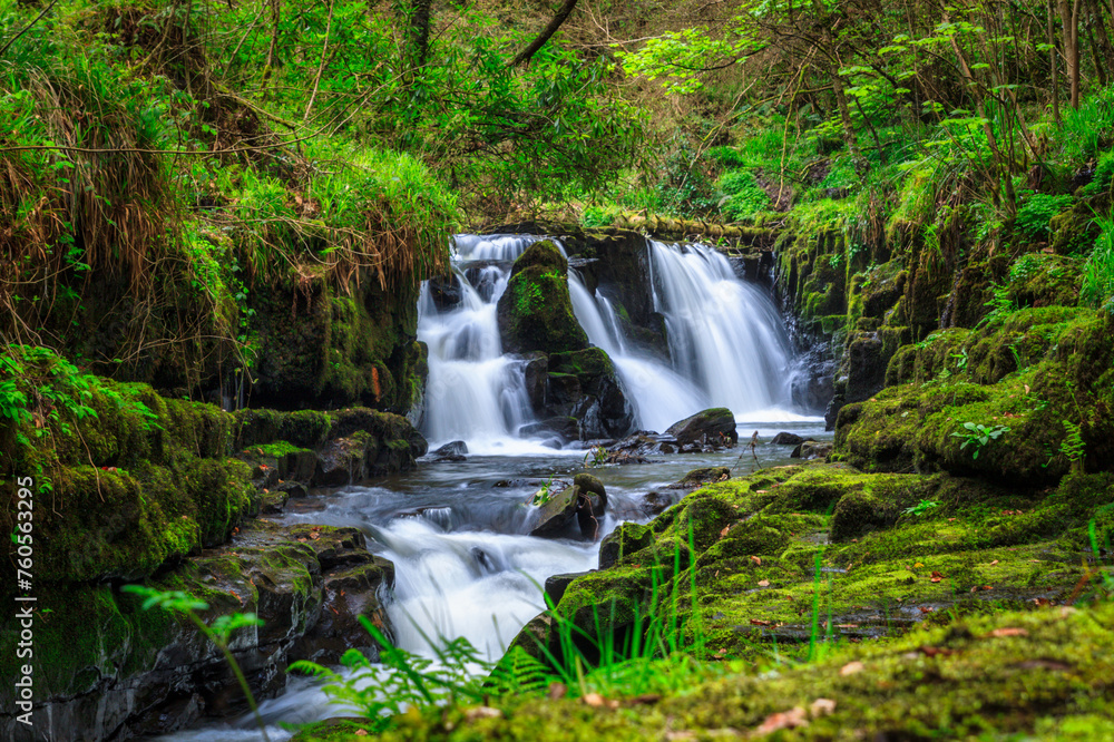 Moutain creek in Killarney National Park, Ireland Moutain creek in Killarney National Park, Ireland