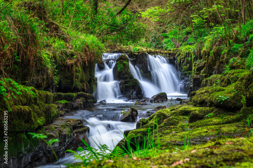Fototapeta Naklejka Na Ścianę i Meble -  Moutain creek in Killarney National Park, Ireland
