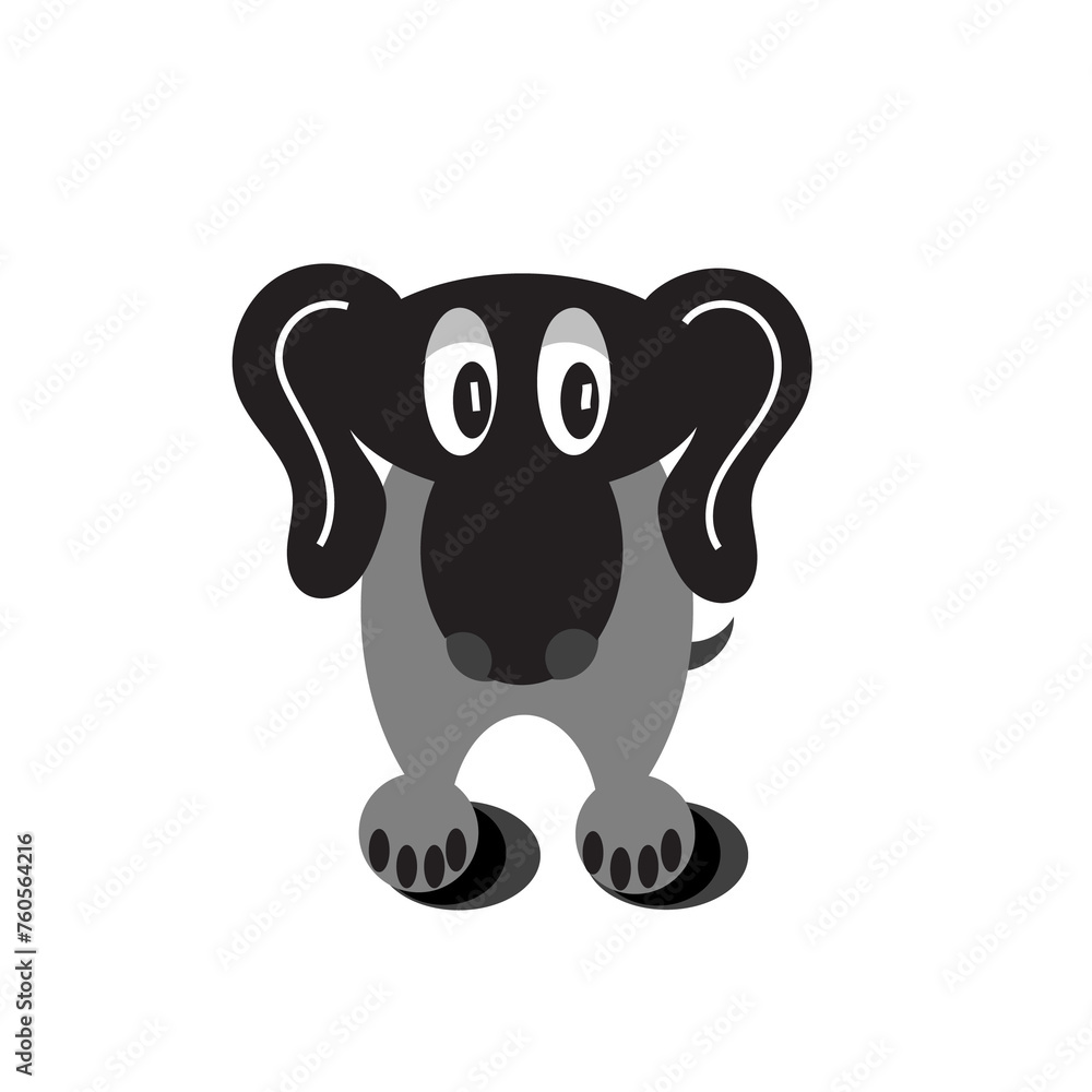 Dog Grey white black