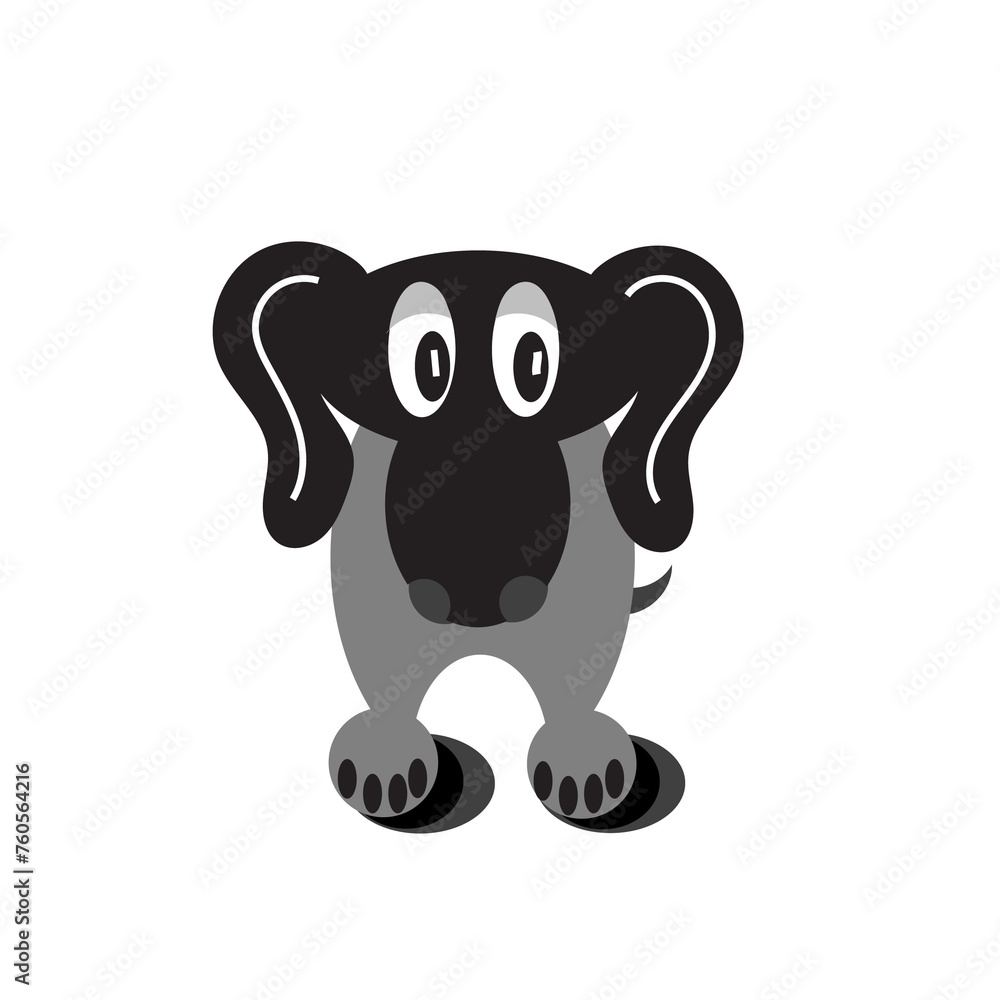 Fototapeta premium Dog Grey white black