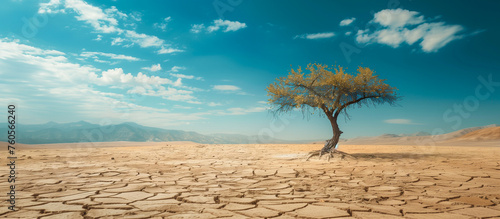 save earth day  global warming  climate change concept background. lone tree in dry desert