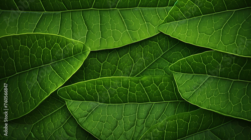 Green leaves abstract pattern  nature illustration