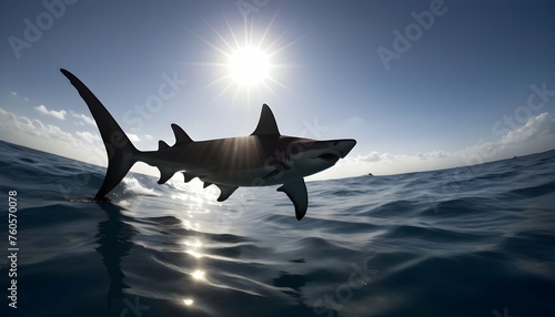 A Hammerhead Shark With Its Distinctive Silhouette