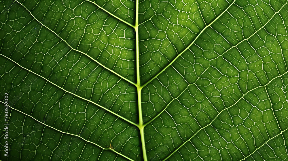 Obraz premium Green leaves abstract pattern, nature illustration