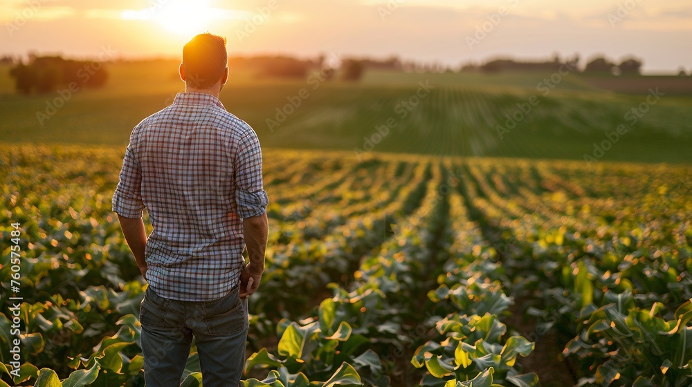 Rear View of Man in Agriculture Field at Sunrise

