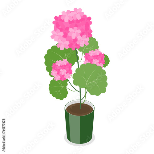 3D Isometric Flat Vector Set of Garden Flowers, Different Plants in Pots. Item 1