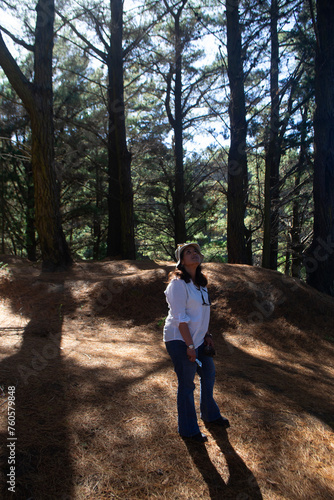 a woman observing the tops of the trees in a forest in southern Chile © gustavo