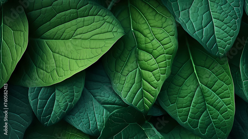 Green abstract background, HD detailed leaf pattern texture