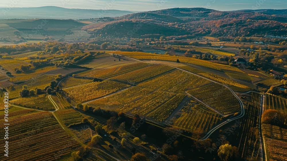 Fototapeta premium Aerial photo of rolling hills and vineyards with colorful autumn foliage