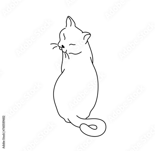 Vector isolated one single sitting cat in half turn back view colorless black and white contour line easy drawing