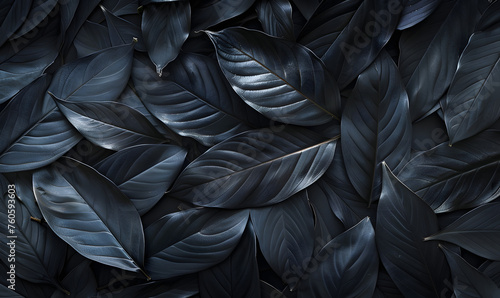 abstract black leaves for tropical leaf background  Generative AI