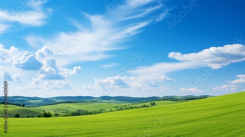 Green field with blue sky  © Media Srock