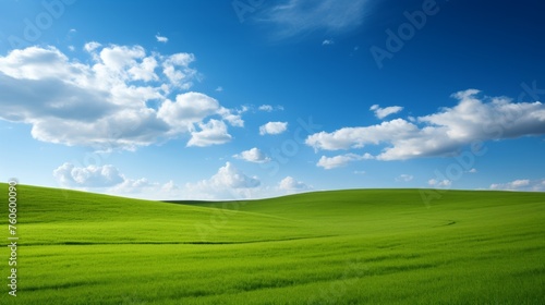 Green field with blue sky 