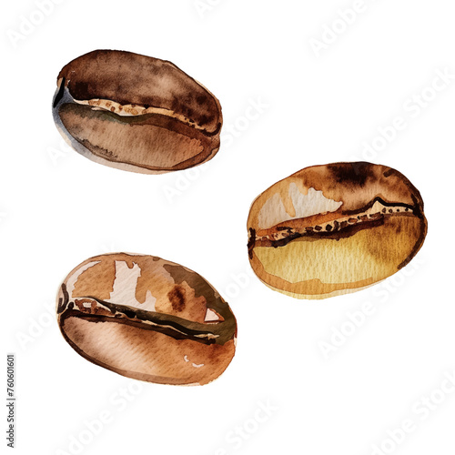coffee beans vector illustration hand drawn painted watercolor