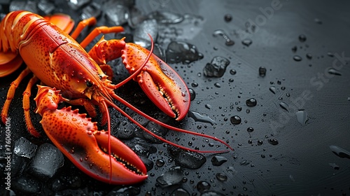 Lobster with ice on a black background. Copy space.