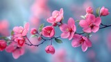  a branch of pink flowers with green leaves on a blue and pink background with a blurry image of a branch of pink flowers with green leaves on a blue background.