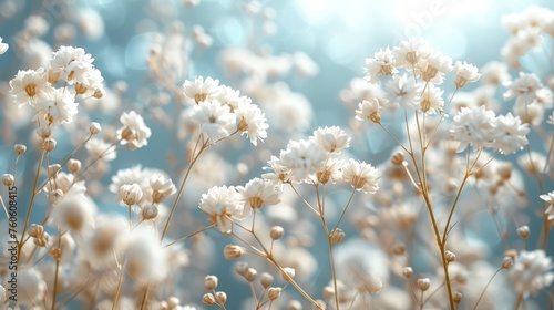  a close up of a bunch of white flowers with the sun shining through the sky in the backround. © Jevjenijs
