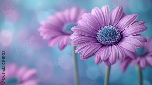  a group of purple flowers sitting on top of a blue and white table cloth with a blurry background behind them.
