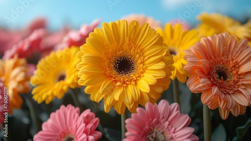  a close up of a bunch of flowers with one flower in the middle of the picture and the other in the middle of the picture.