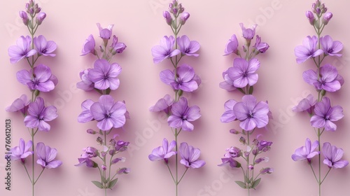  a group of purple flowers on a pink background with a few stems of flowers in the middle of the picture.